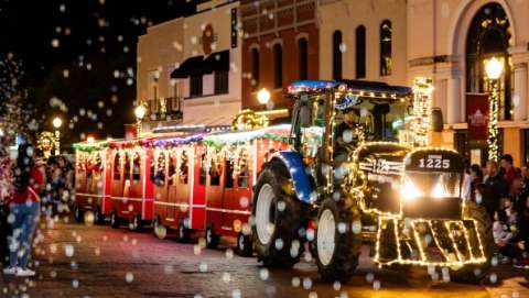 Wonderland of Lights