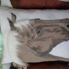 LARGE  PILLOWS $25.00