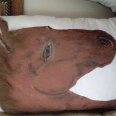 LARGE, HAND PAINTED HORSE PILLOWS $25.00 EA.