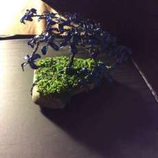 One of my latest pieces