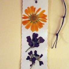 Orange daisy pressed flower bookmark