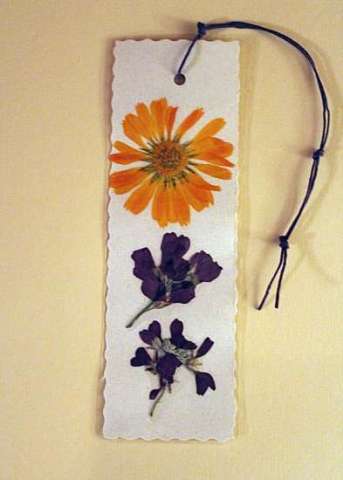 Orange daisy pressed flower bookmark