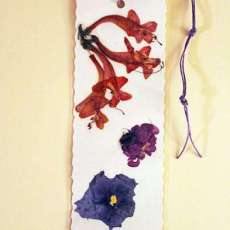 Cape honeysuckle pressed flower bookmark