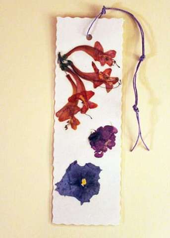 Cape honeysuckle pressed flower bookmark