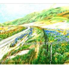 Spring at Bear Mountain