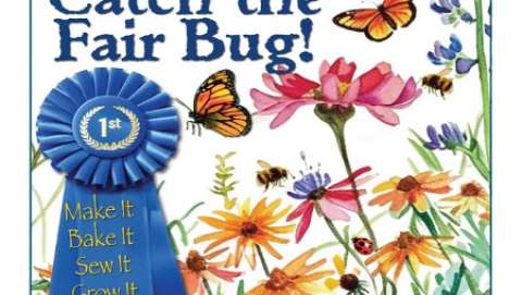 Burnet County Area Fair