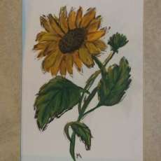 Mary Robinson-Foster