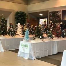 Festival of Trees