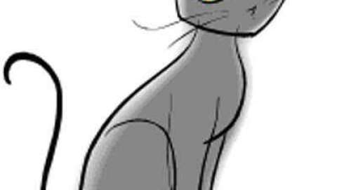 Laura Pierce Laura Pierce