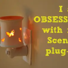 SCENTSY PLUG IN