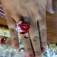 Painting the Roses Red ring