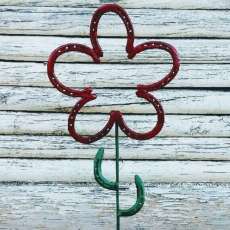 Horseshoe Flower