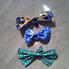 Sports and Holiday bowties