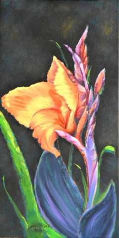 Orange Iris