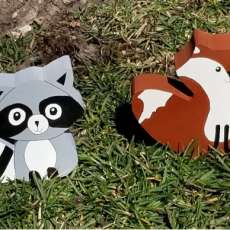 Raccoon and Fox