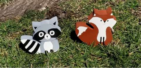 Raccoon and Fox