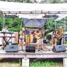 Ohmstead Music Fest 2014