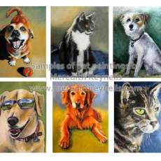 Samples of Pet Paintings