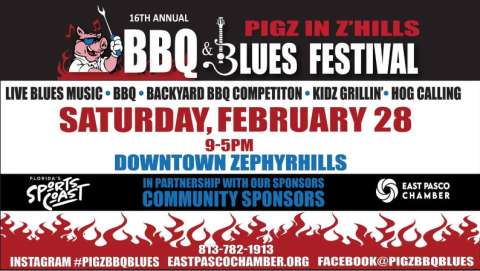 Pigz in Z'Hills BBQ & Blues Festival