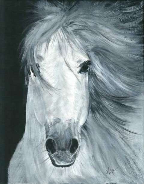 Patricia Lacovara Patricia Lacovara