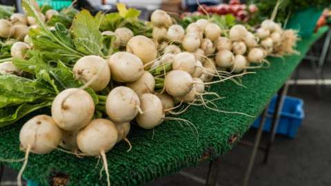 OB Farmer's Market - June