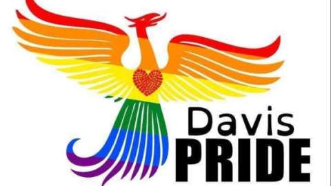 Davis Pride Festival