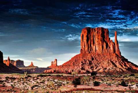 Monument Valley Coyotes Hunting-36x24