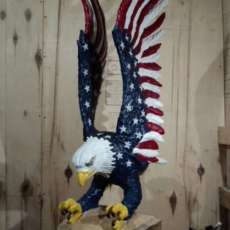 Patriotic Eagle