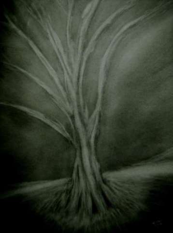 Charcoal drawing.  2010