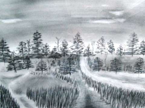 Charcoal drawing.  2010