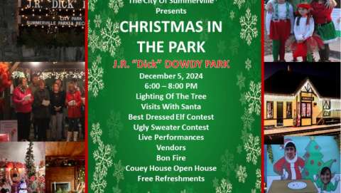 Christmas in the Park