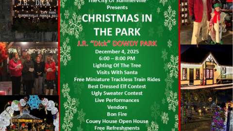 Christmas in the Park