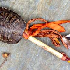Turtle Rattle