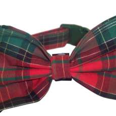 Tartan Bow Tie + Collar