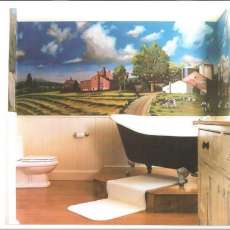 Wall Murals