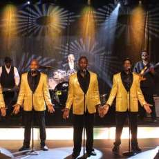 Motowners Legends of Motown Tribute Band & Revue