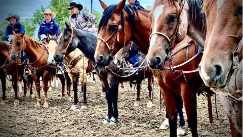 Tri-County Fair