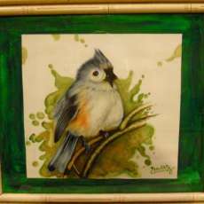Tufted Titmouse