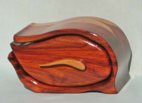 Cocobola Bandsaw Box