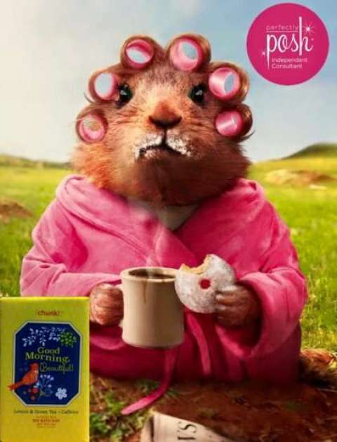 Deborah Watson-Novacek Deborah Watson-Novacek