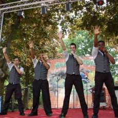 Theme Show Park Performace