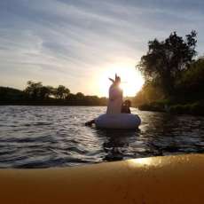 Have You Found Your Unicorn Yet?