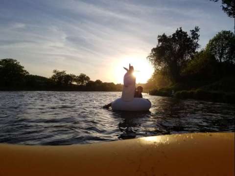 Have You Found Your Unicorn Yet?