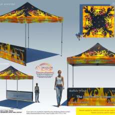 Buffalo Wing, Fried Dough, French Fry Booths