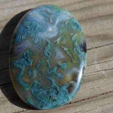 Catherine Delaney Haslam