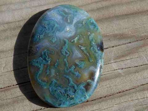 Catherine Delaney Haslam