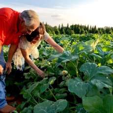 Picking Pumpkins
