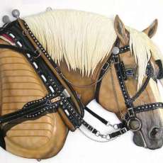 Draft Horse