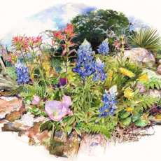 My Print Spring Riot