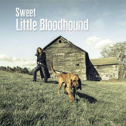 Sweet Little Bloodhound Album Promo